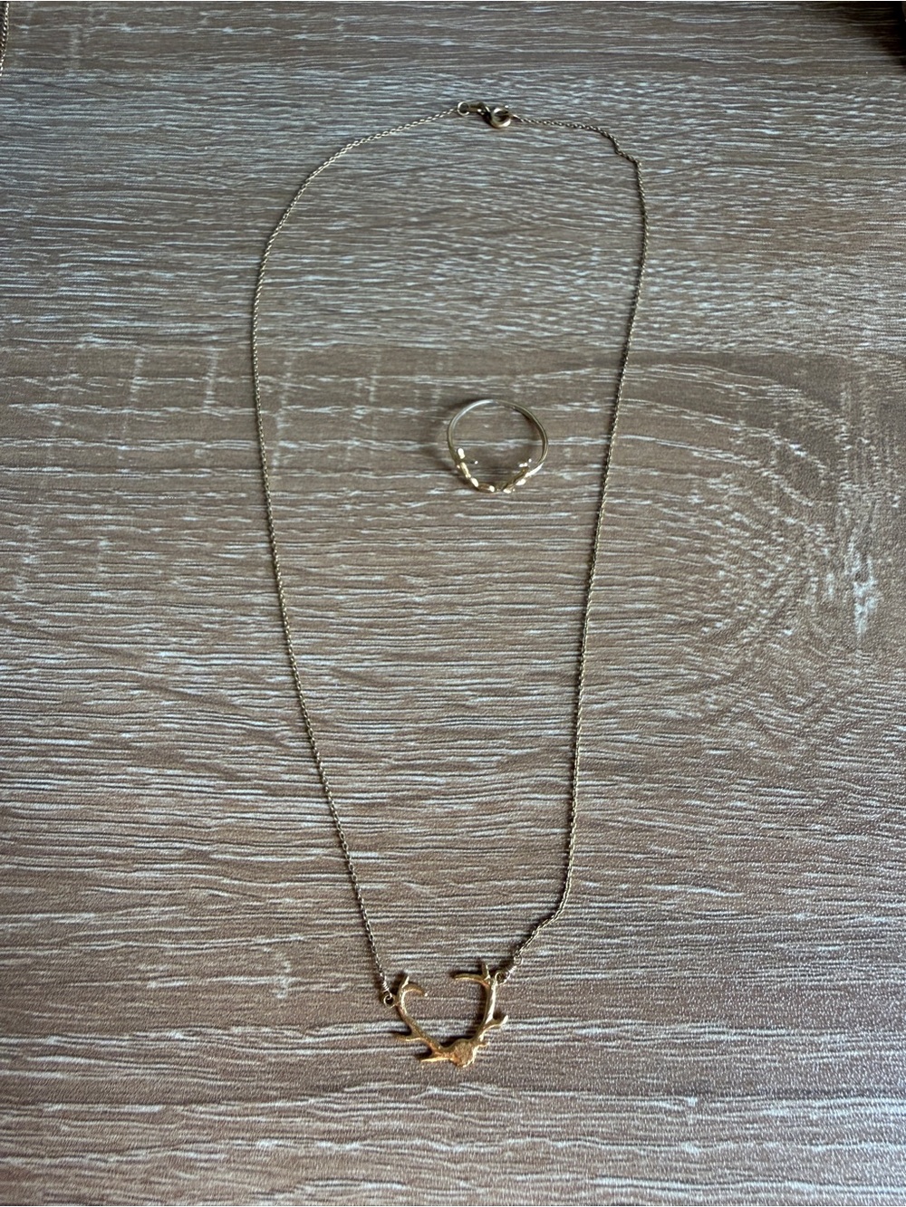For Love and Lemons Antlers Necklace and Ring
